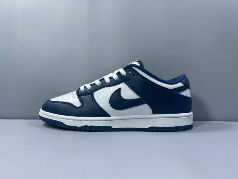 nike dunk-low retro pour homme s_1063635